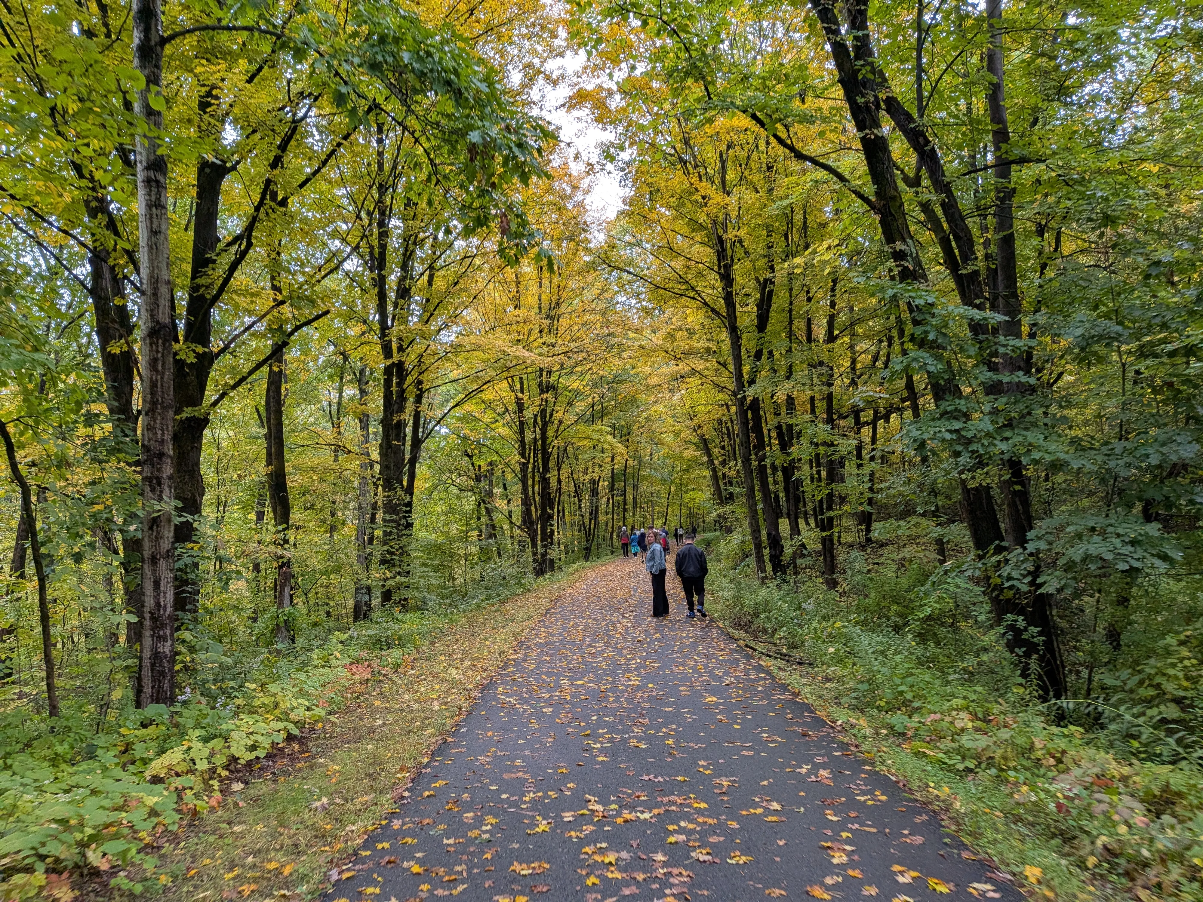 The Empire State Trail between Schenectady and Albany